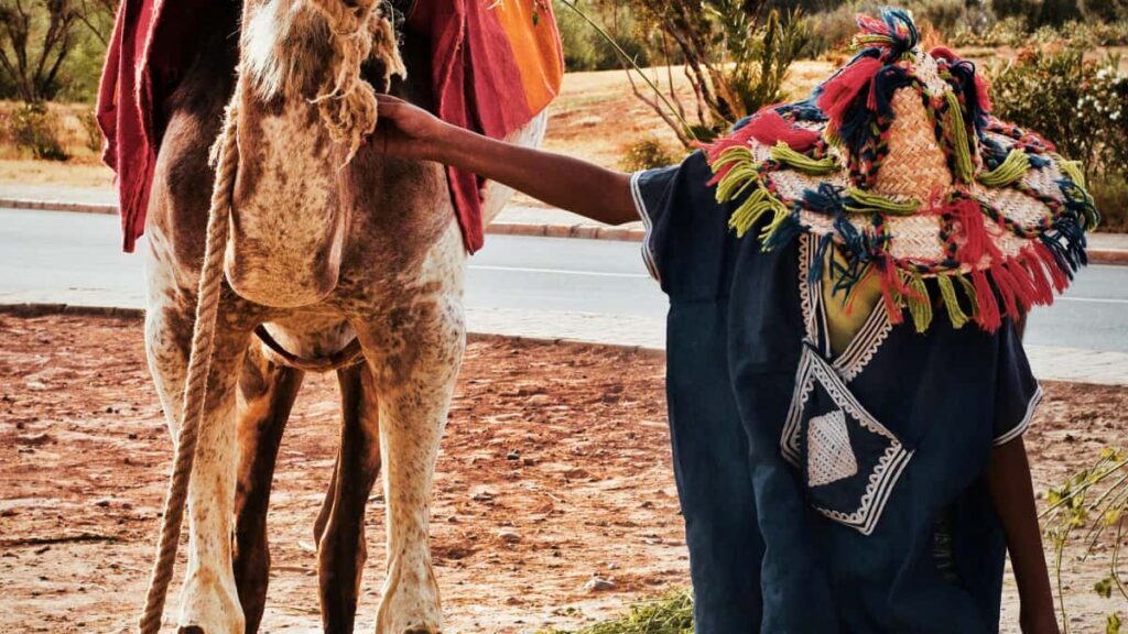 Leiarvisir fyrir auglysendur a Islandi: hvernig finna og vinna me Ireland Josh-creators til a markassetja staartura a ahrifarikan hatt.