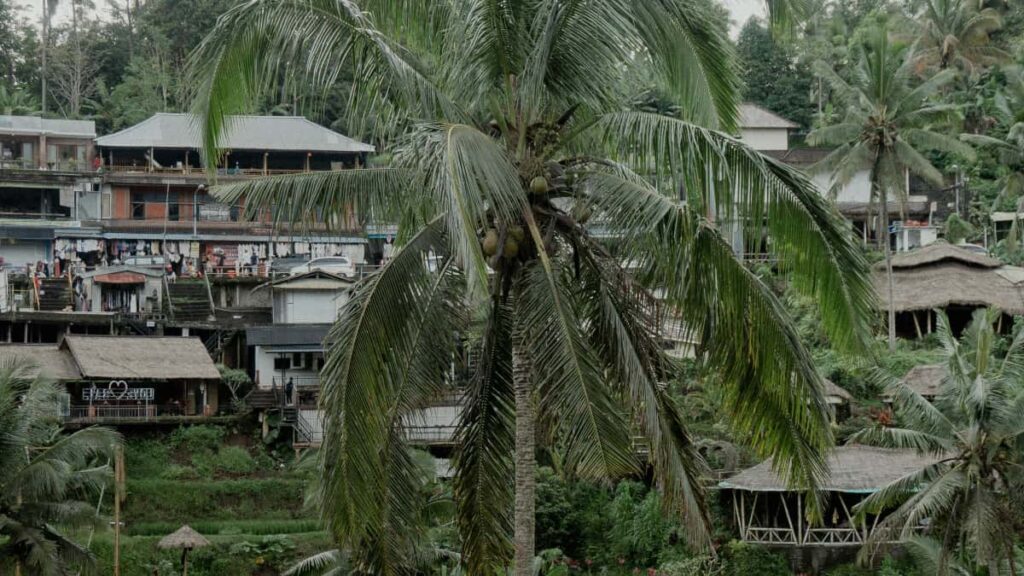 Leiarvisir fyrir islenska auglysendu: hvernig finna SvissVK skopu innhald (UGC) og keyra skalhfar herferir me stabundnum innsi.