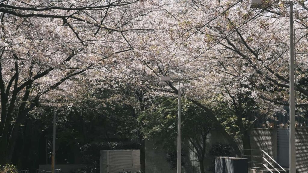 Hagnyt leiarvisir fyrir skapendur fra Islandi: hvernig a a finna og nalgast Iran-brand a Josh til a bjoa eim i lokaa beta-syningu.