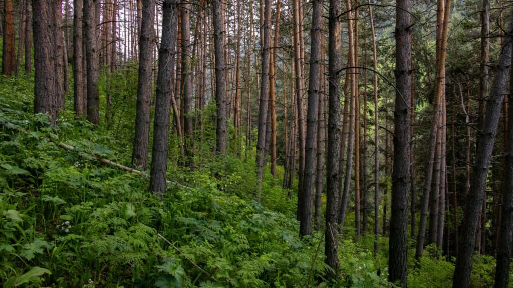 Hagnyt leiarvisi fyrir islenska auglysendur til a finna og raa WhatsApp-skapara fra Bretlandi til samstarfs vi stil-influensara.