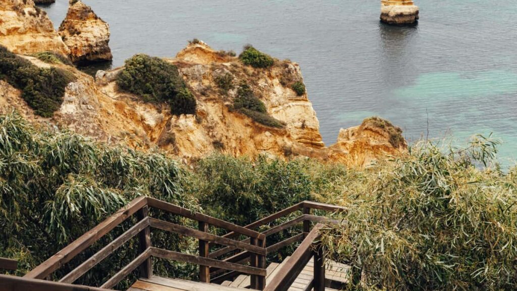 Praktisk leiarvisi fyrir islenska skopunaraila: hvernig finna, nalgast og sannfra bulgarsk vorumerki a Rumble til a halda lifandi vorusyningar.