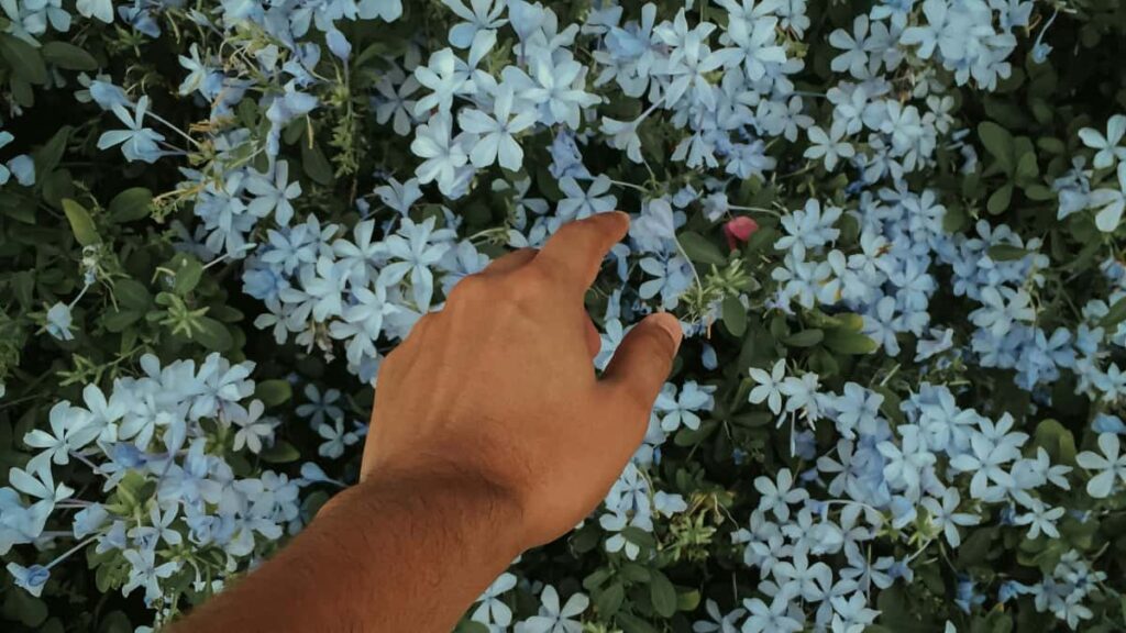 Hagnyt leiarvisir fyrir islenska skopunaraila: hvernig finna, na sambandi og fa slovensk fyrirtki a Telegram til a profa nyjar leikjafringar.