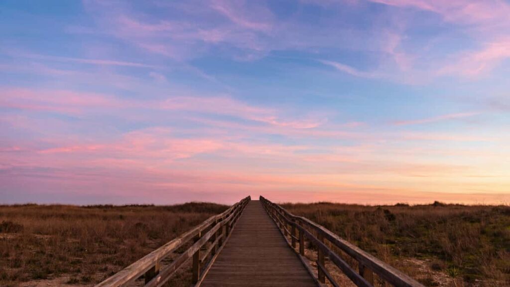 Leiarvisir fyrir islenska auglysendur: hvernig finna YouTube-hofunda fra Filabeinsstrondinni til a auka utbreislu fyrir heilsu- og lifsstilsvorur.