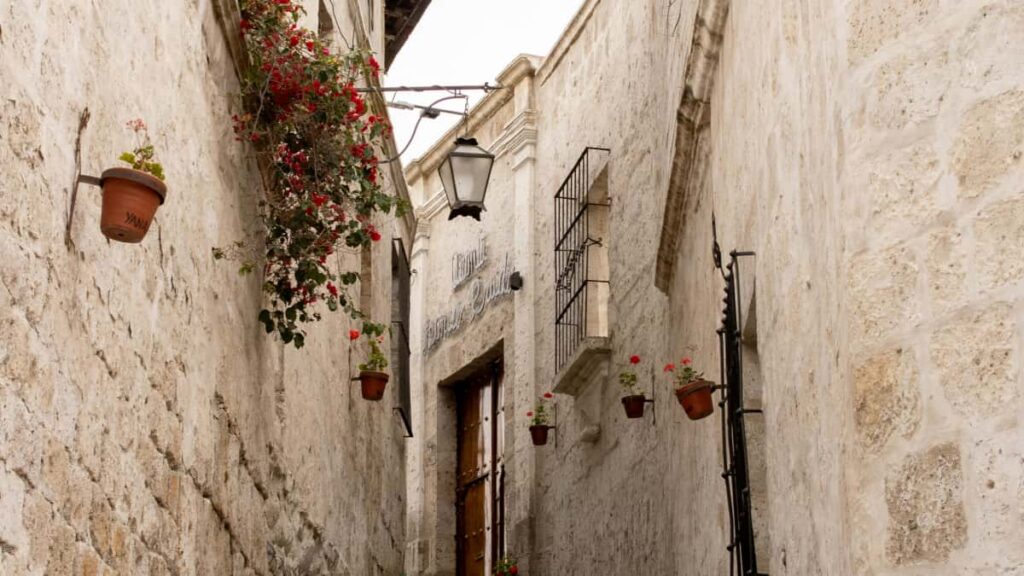 Hagnyt leiarvisir fyrir islenska auglysendur: hvernig finna og vinna me hollenskum Facebook-skopunarailum til a auka synileika feramala.