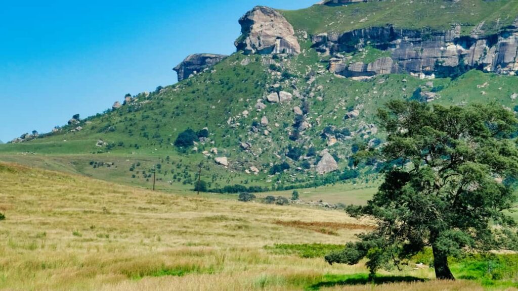Leiarvisir fyrir skapendur fra Islandi: hvernig tengjast portugolskum Etsy-vorumerkjum, bua til feraleisagnir og longu gagnlegt samstarf.