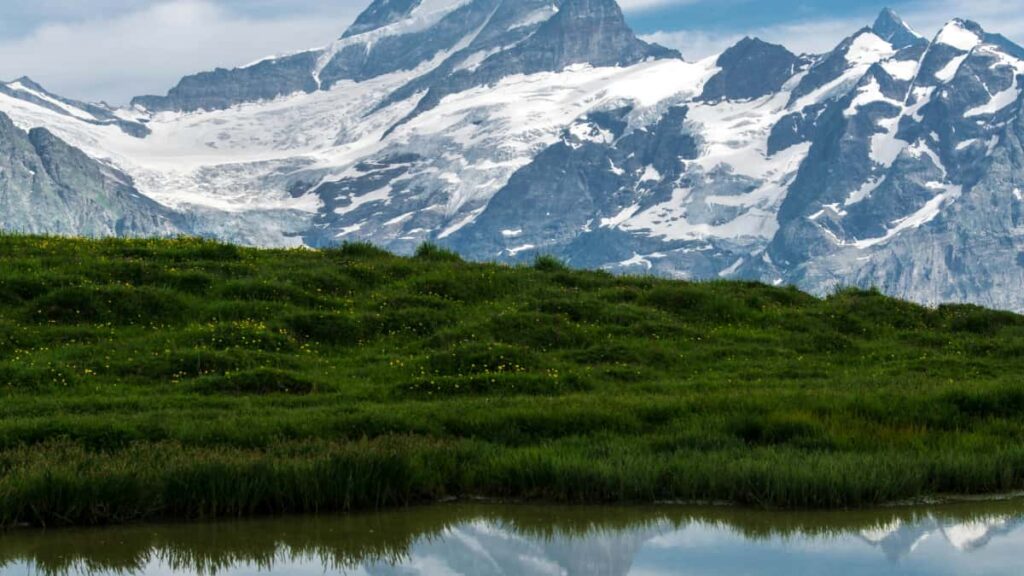 Leiarvisi fyrir islenska auglysendu: hvernig finna Takatak-skapara i Chile til a keyra appniurhal me streymurum og LIVE-gjofum.