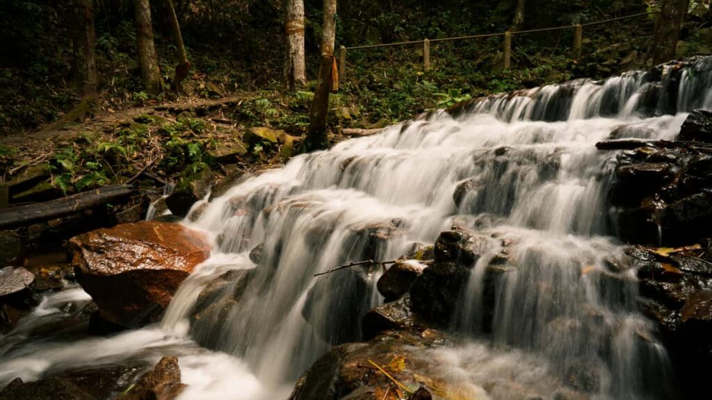 Leiarvisir fyrir islenska auglysendur: hvernig finna rettu Nigeria TikTok-skaparana til a keyra vitund um nyjar forunarvorur me stabundnum innsi og aferum.