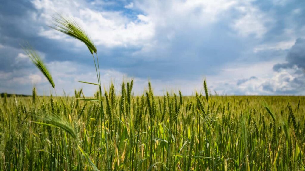 Leiarvisir fyrir islenska auglysendur: hvernig finna og vinna me Iraq HBO Max skapendum til a selja ny fatasofn.