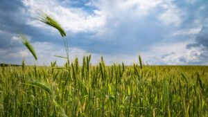 Leiarvisir fyrir islenska auglysendur: hvernig finna og vinna me Iraq HBO Max skapendum til a selja ny fatasofn.