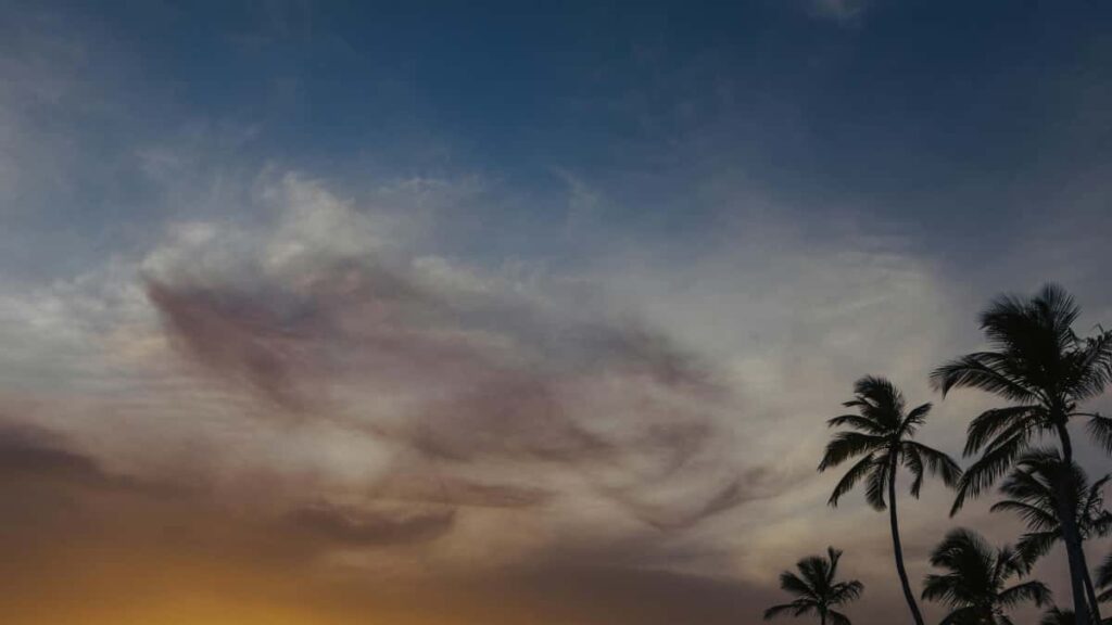 Leiarvisir fyrir islenska auglysendur: hvernig keyrau upp samstarf vi danska Roposo-skapara og tengja a vi toppskapara a vorulinum.