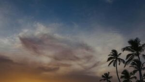 Leiarvisir fyrir islenska auglysendur: hvernig keyrau upp samstarf vi danska Roposo-skapara og tengja a vi toppskapara a vorulinum.