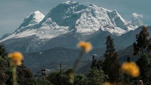 Praktisk leiarvisi fyrir islenska skopunaraila: hvernig na til tailenskra vorumerkja a OnlyFans og keyra giveaway-herferir sem virka i Thailand.